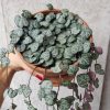 String of hearts by 3OUD