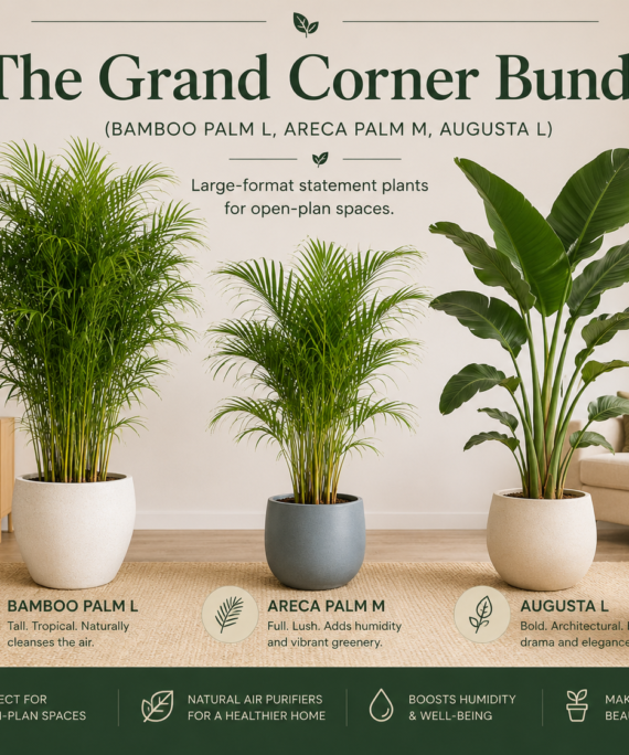 The Grand Corner Bundle