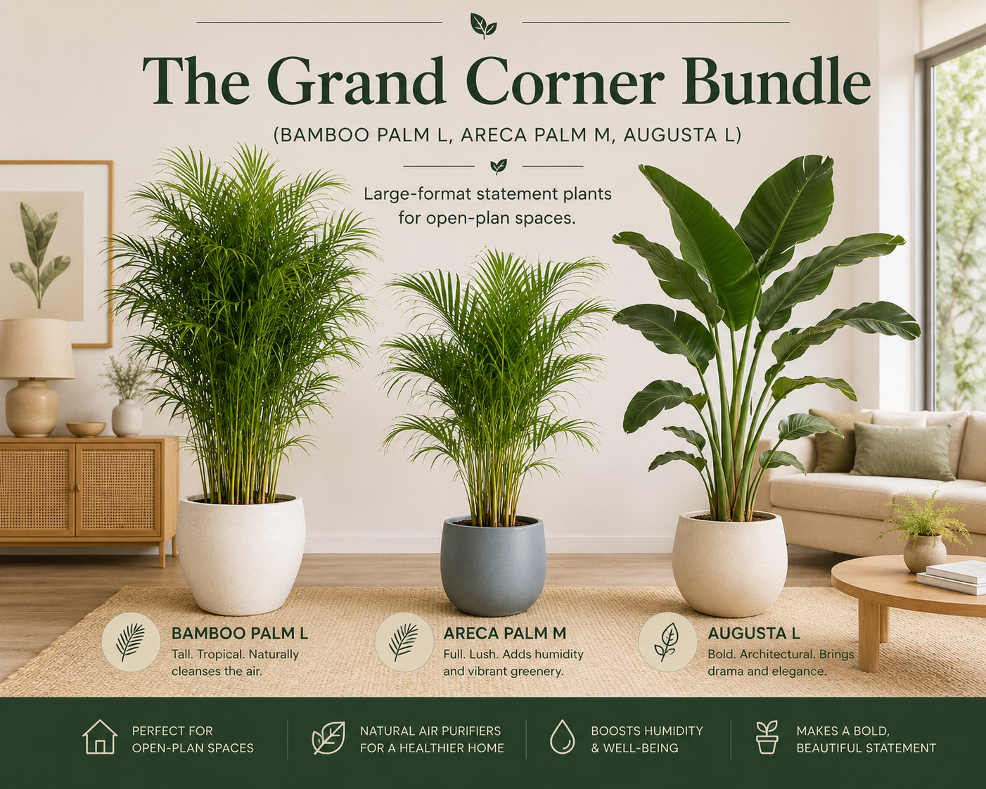 The Grand Corner Bundle
