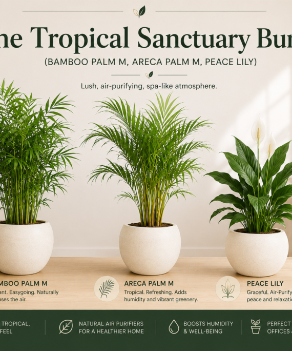 The Tropical Sanctuary Bundle