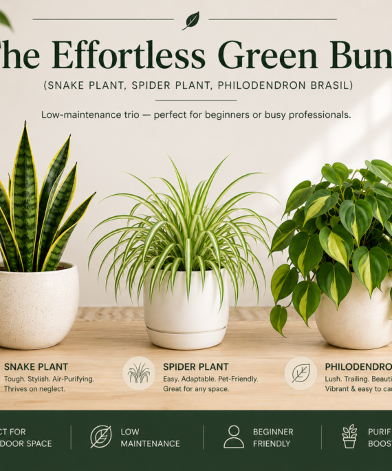 The Effortless Green Bundle