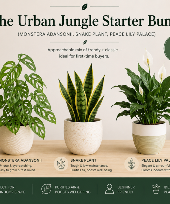 The Urban Jungle Starter Bundle